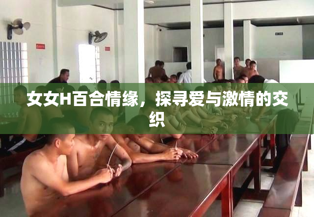 女女H百合情缘，探寻爱与激情的交织
