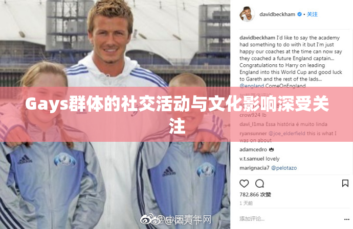 Gays群体的社交活动与文化影响深受关注