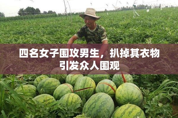 四名女子围攻男生，扒掉其衣物引发众人围观