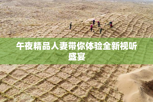 午夜精品人妻带你体验全新视听盛宴