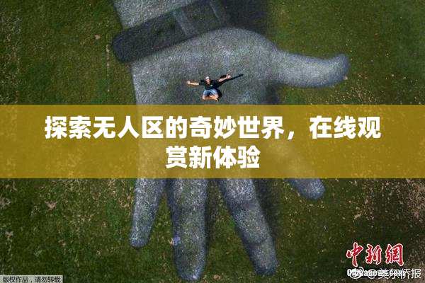 探索无人区的奇妙世界，在线观赏新体验