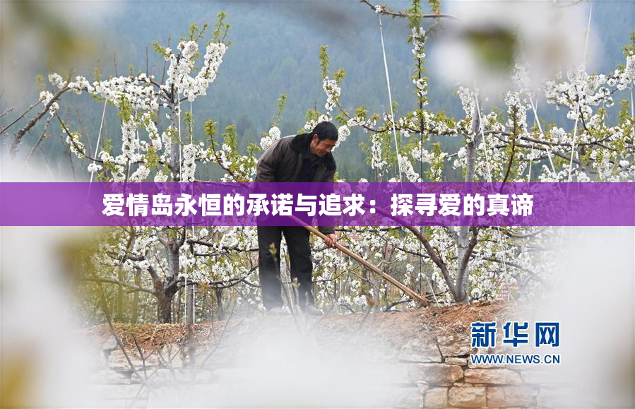 爱情岛永恒的承诺与追求：探寻爱的真谛