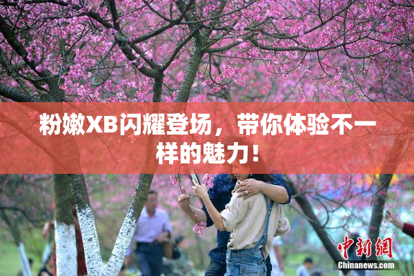 粉嫩XB闪耀登场，带你体验不一样的魅力！