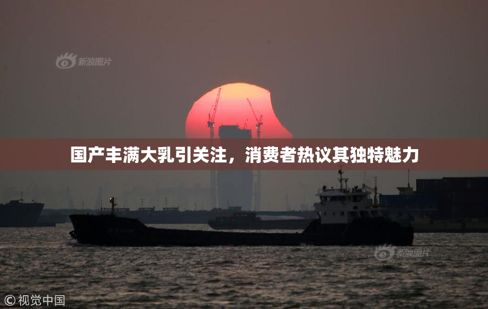 国产丰满大乳引关注，消费者热议其独特魅力