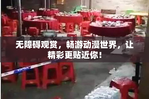 无障碍观赏，畅游动漫世界，让精彩更贴近你！