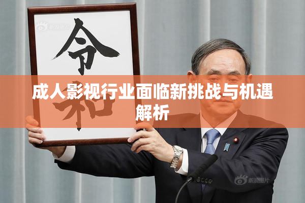 成人影视行业面临新挑战与机遇解析
