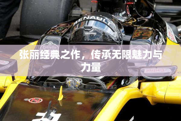张丽经典之作，传承无限魅力与力量