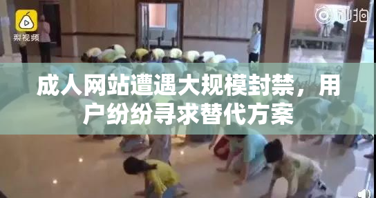 成人网站遭遇大规模封禁，用户纷纷寻求替代方案