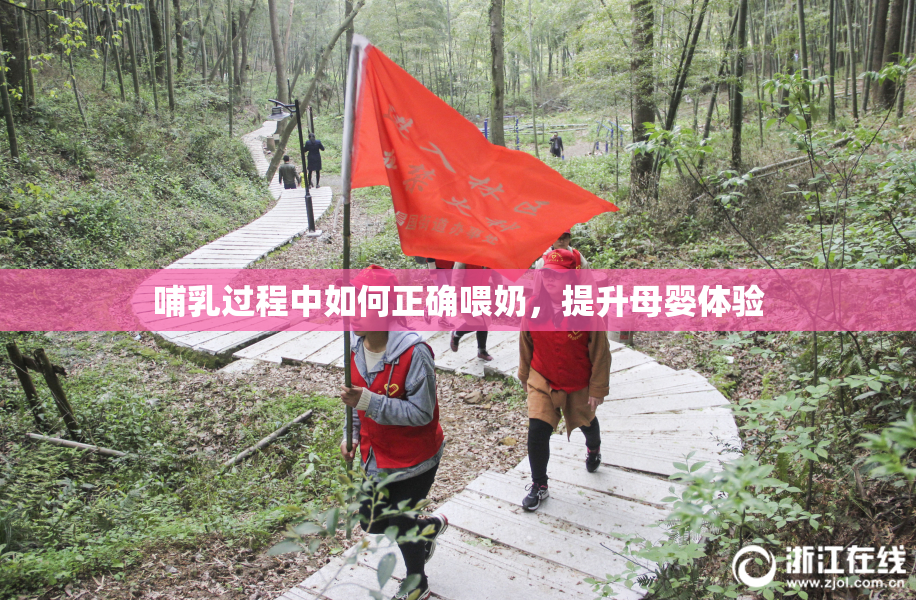 哺乳过程中如何正确喂奶，提升母婴体验