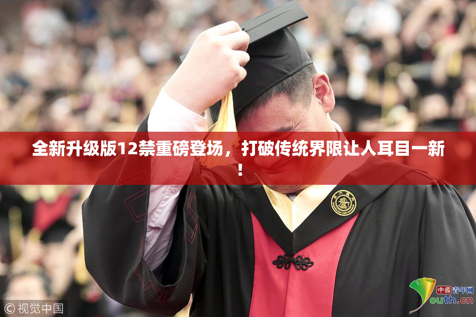 全新升级版12禁重磅登场，打破传统界限让人耳目一新！