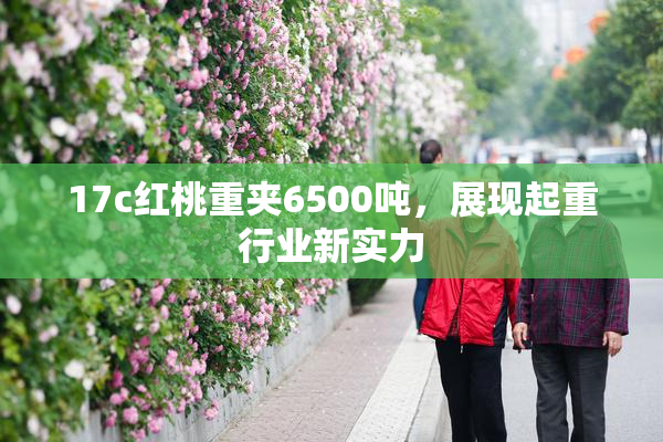 17c红桃重夹6500吨，展现起重行业新实力