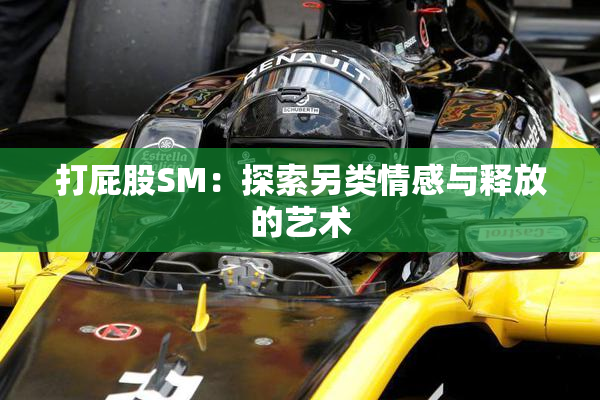 打屁股SM：探索另类情感与释放的艺术