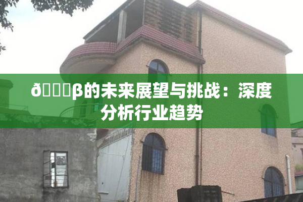 🔞β的未来展望与挑战：深度分析行业趋势
