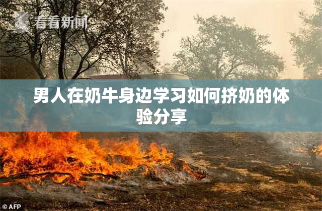 男人在奶牛身边学习如何挤奶的体验分享