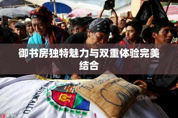 御书房独特魅力与双重体验完美结合