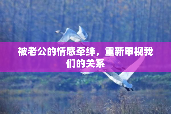 被老公的情感牵绊，重新审视我们的关系