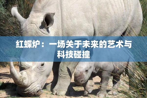 红蝶炉：一场关于未来的艺术与科技碰撞