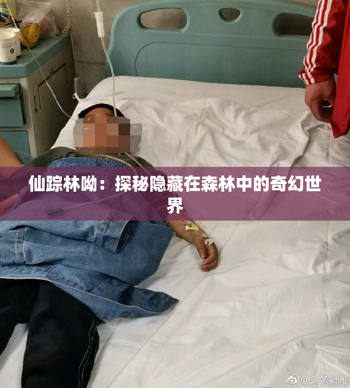 仙踪林呦：探秘隐藏在森林中的奇幻世界
