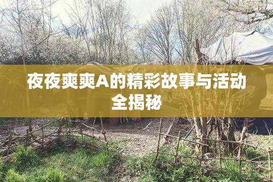夜夜爽爽A的精彩故事与活动全揭秘