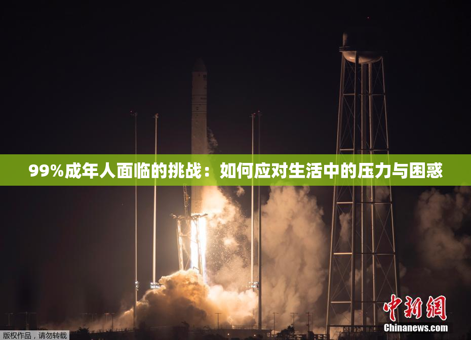 99%成年人面临的挑战：如何应对生活中的压力与困惑
