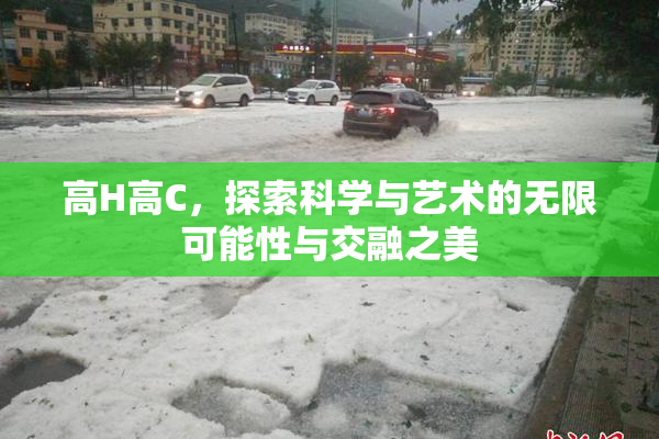 高H高C，探索科学与艺术的无限可能性与交融之美