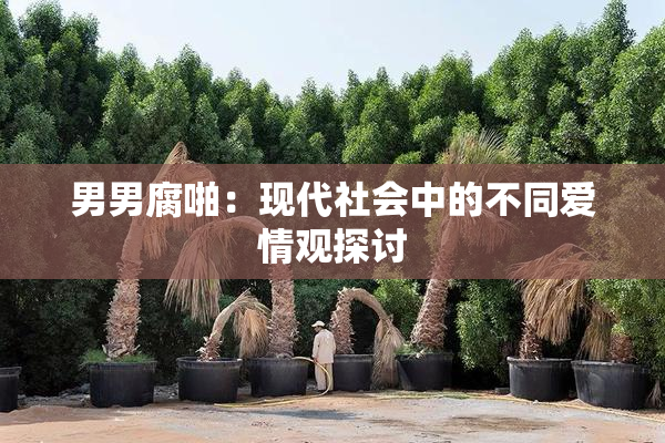 男男腐啪：现代社会中的不同爱情观探讨