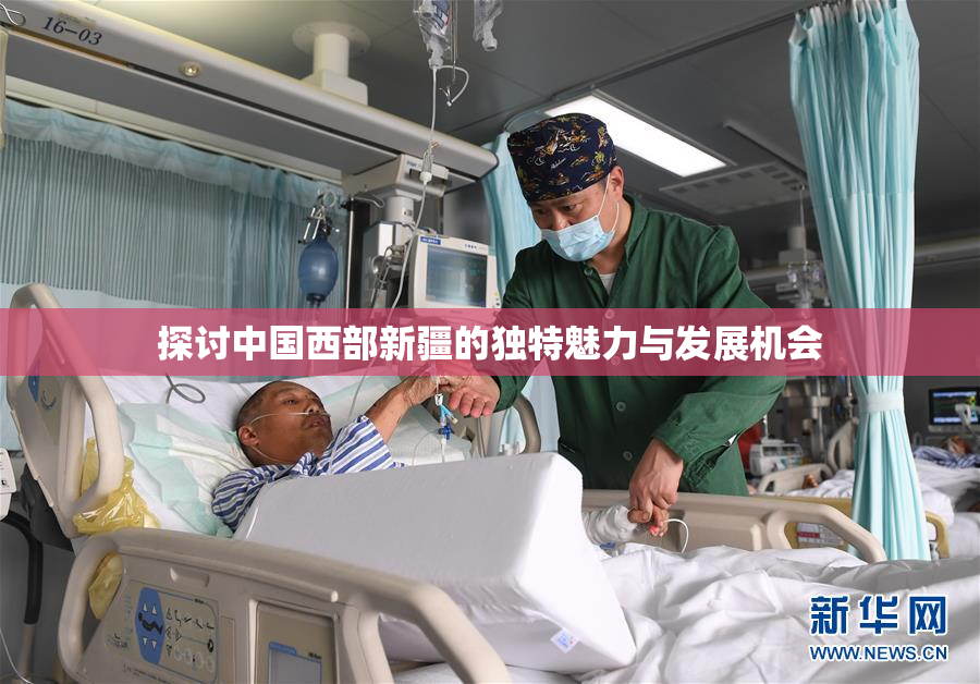 探讨中国西部新疆的独特魅力与发展机会