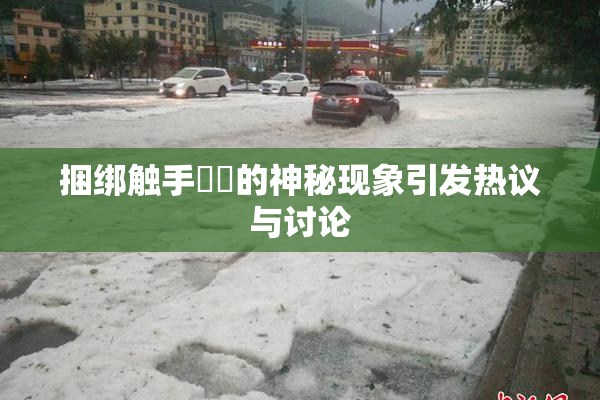 捆绑触手❌‌的神秘现象引发热议与讨论