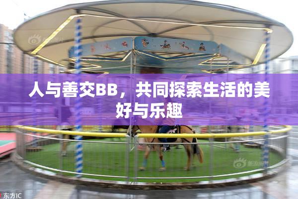 人与善交BB，共同探索生活的美好与乐趣