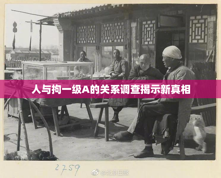 人与拘一级A的关系调查揭示新真相