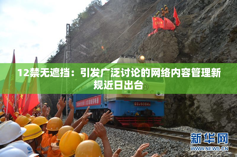 12禁无遮挡：引发广泛讨论的网络内容管理新规近日出台