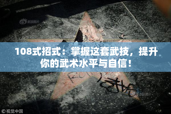 108式招式：掌握这套武技，提升你的武术水平与自信！