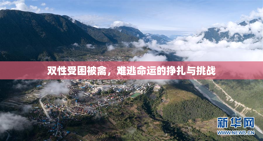 双性受困被禽，难逃命运的挣扎与挑战