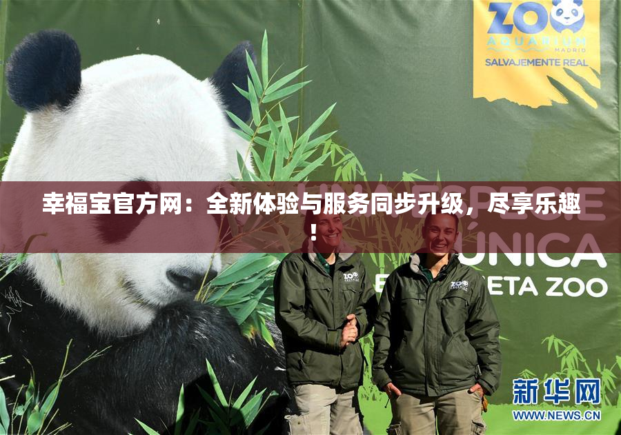 幸福宝官方网：全新体验与服务同步升级，尽享乐趣！