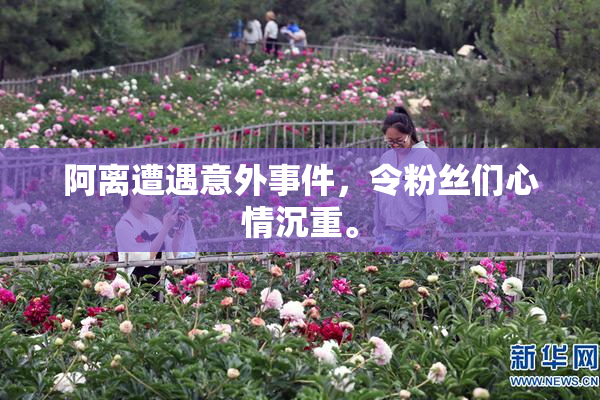 阿离遭遇意外事件，令粉丝们心情沉重。