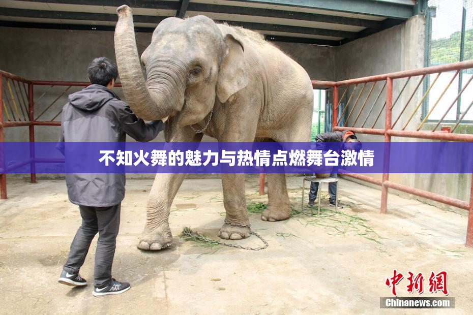 不知火舞的魅力与热情点燃舞台激情