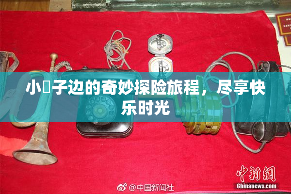 小峓子边的奇妙探险旅程，尽享快乐时光