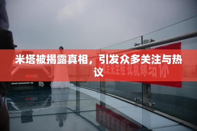 米塔被揭露真相，引发众多关注与热议