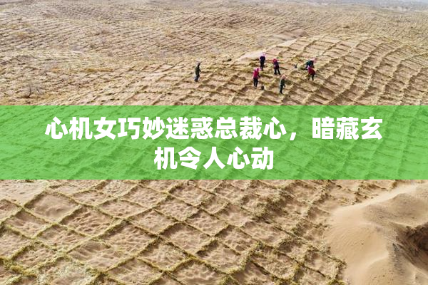心机女巧妙迷惑总裁心，暗藏玄机令人心动