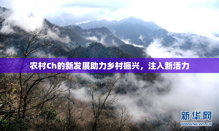 农村Ch的新发展助力乡村振兴，注入新活力