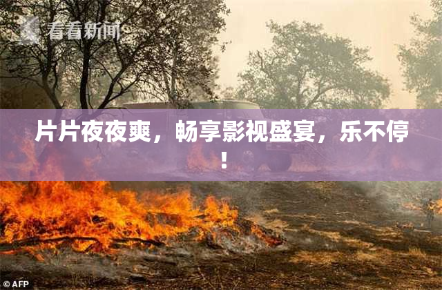 片片夜夜爽，畅享影视盛宴，乐不停！