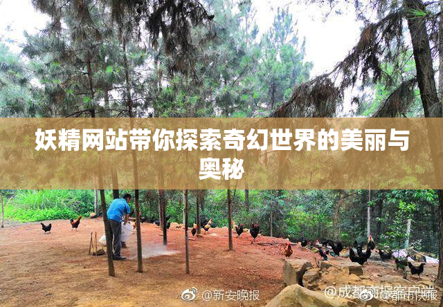 妖精网站带你探索奇幻世界的美丽与奥秘