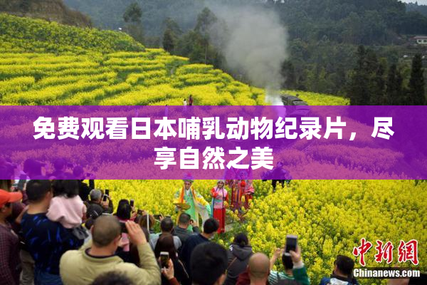 免费观看日本哺乳动物纪录片，尽享自然之美