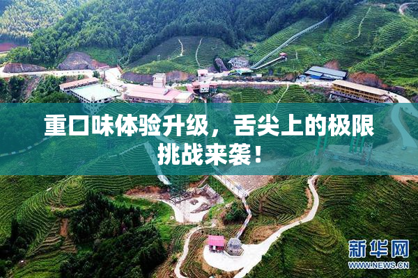 重口味体验升级，舌尖上的极限挑战来袭！