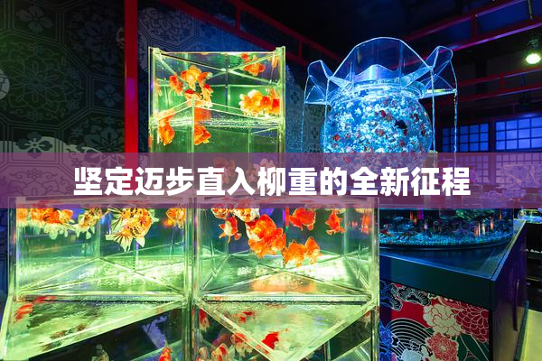 坚定迈步直入柳重的全新征程