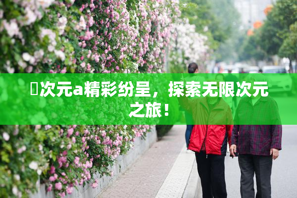 囧次元a精彩纷呈，探索无限次元之旅！