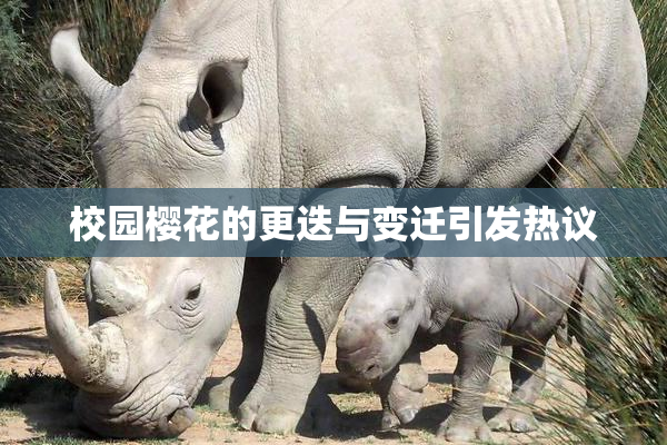 校园樱花的更迭与变迁引发热议