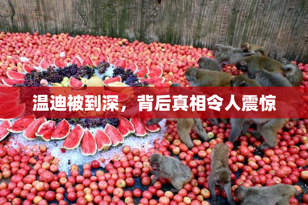温迪被到深，背后真相令人震惊