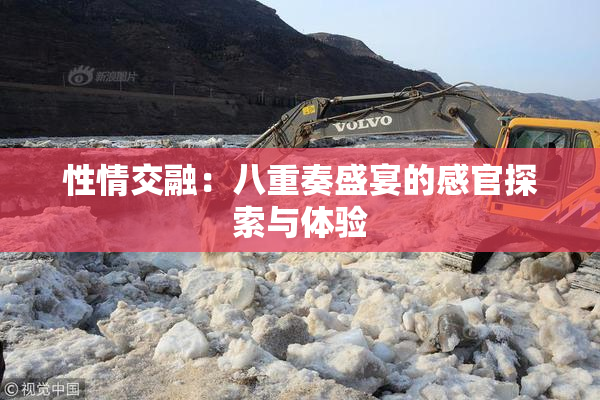 性情交融：八重奏盛宴的感官探索与体验