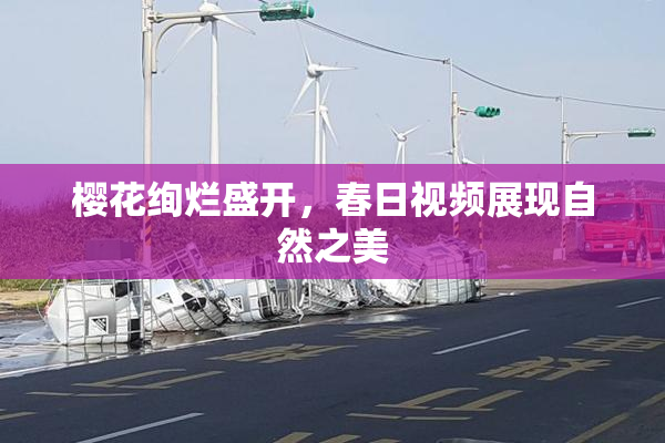 樱花绚烂盛开，春日视频展现自然之美